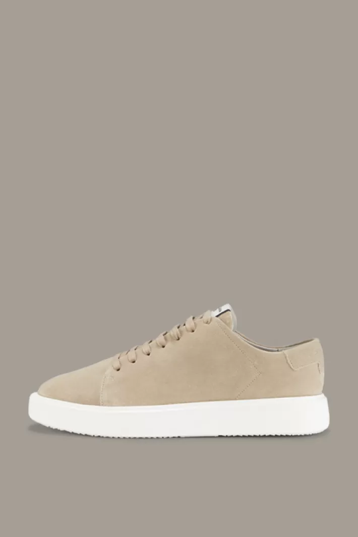 Strellson Tout afficher | Chaussures<Sneakers Epsorn Evans, En